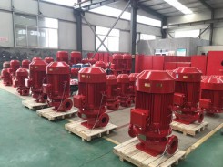 安徽XBD立式(shi)消防泵