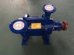 安徽SZ水環式(shi)真空泵