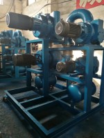 安徽羅(luo)茨水環真空(kong)機組