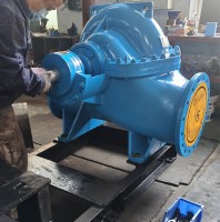 安徽BECN雙(shuāng)吸泵